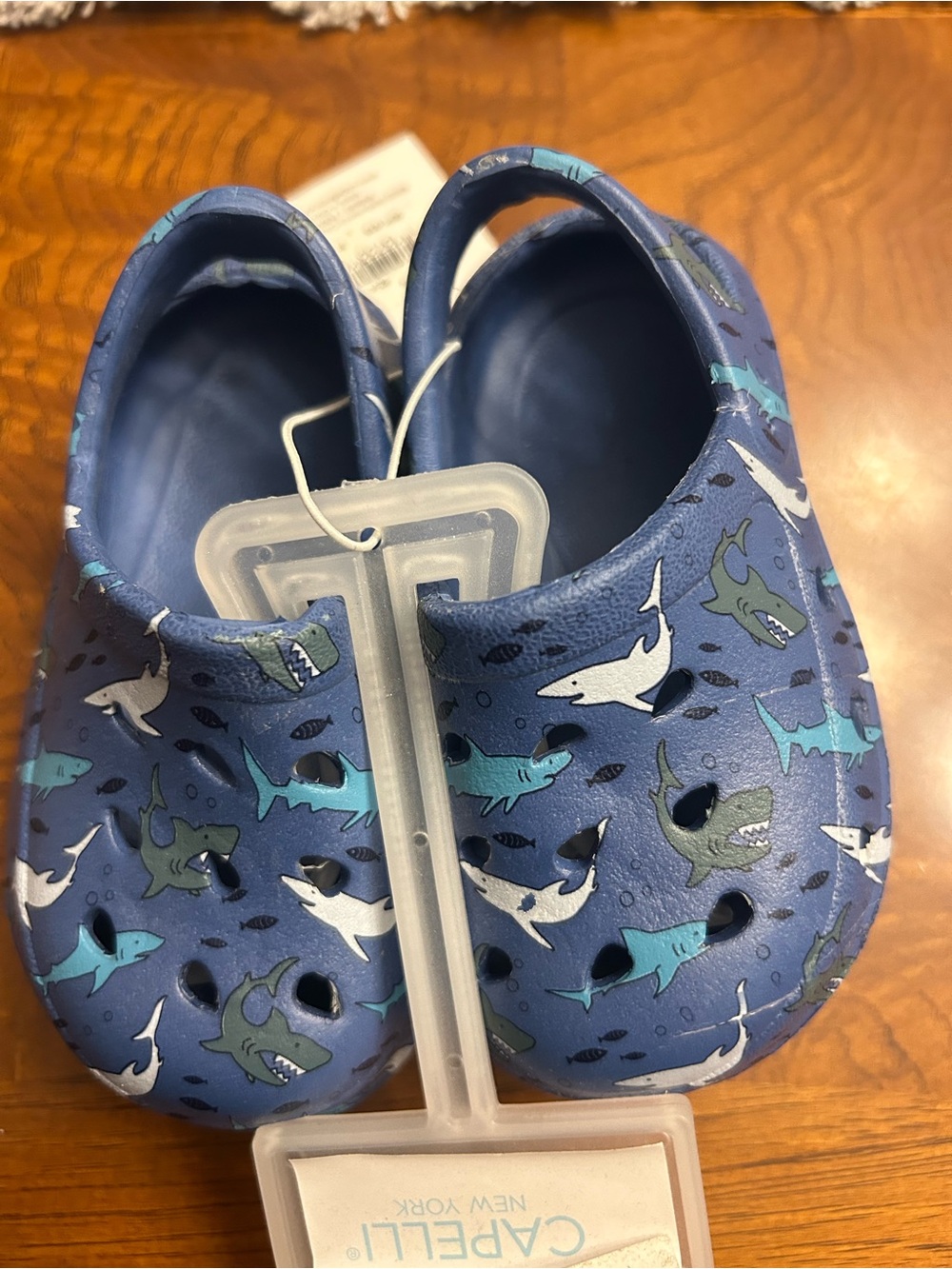 NWT-Capelli of New York Kids Shark Water Shoes - Navy & Teal